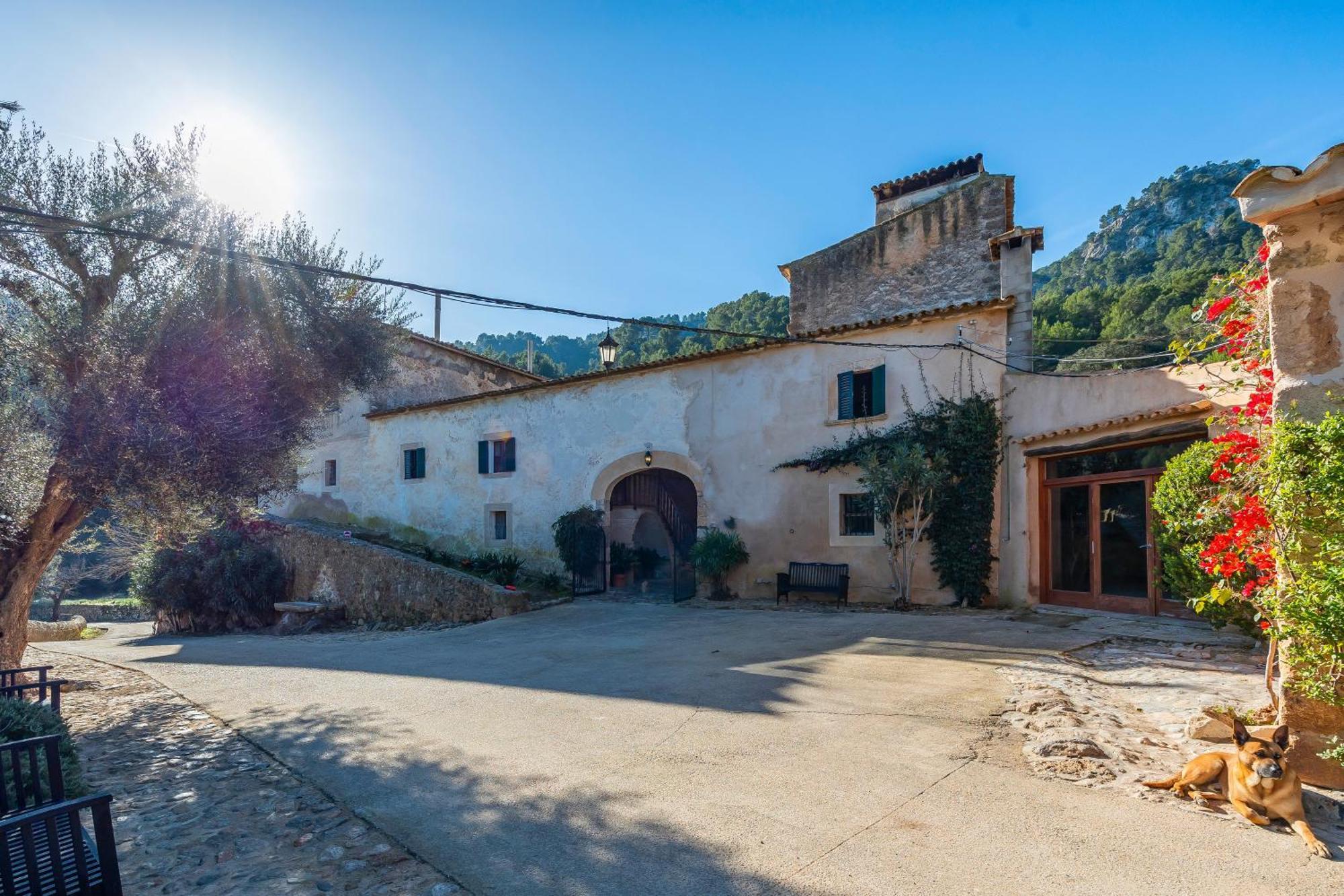 Villa Son Burguet