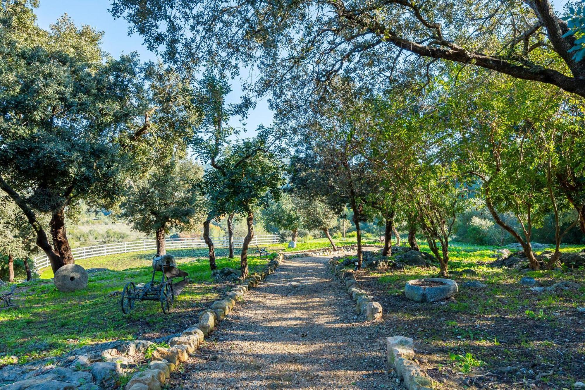 Son Burguet Puigpunyent (Mallorca)